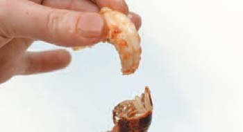 How to peel crayfish - Pull the tail meat out and enjoy