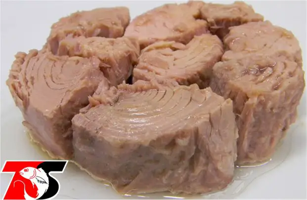 Toba Surimi Indonesia - Canned Tuna in Brine or Oil, Skipjack Tuna chunks canned